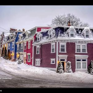 Meet your Posher, Dorothy